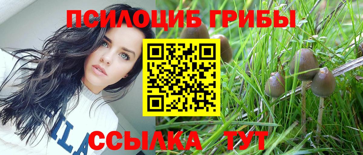 Кстово  Галлюциногенные грибы Cubensis  Вход с VPN 